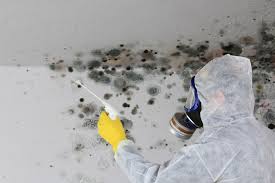 Best Asbestos and Lead Testing During Mold Inspection  in Jasper, TX